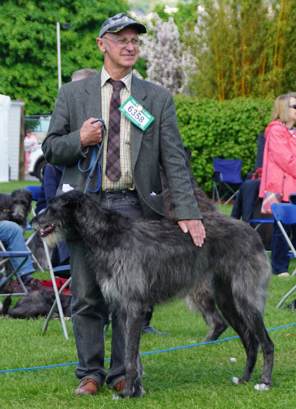 1st Yearling <strong></strong>itch